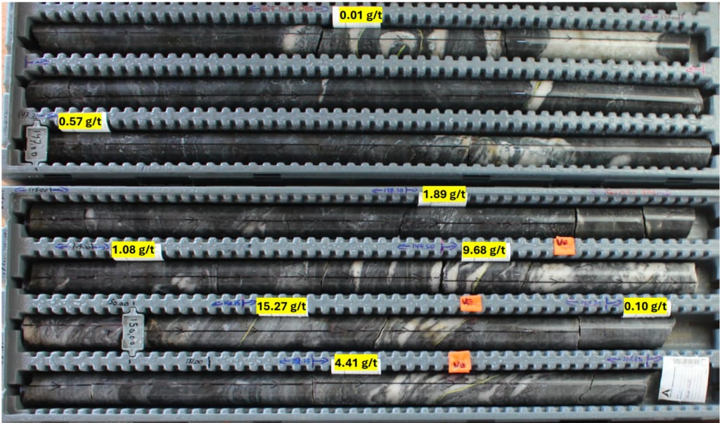 Drill-core photograph from hole 26DDH-BB-003 at about 150 m depth showing dense grey-white quartz veining and intense silicification of the host rock.