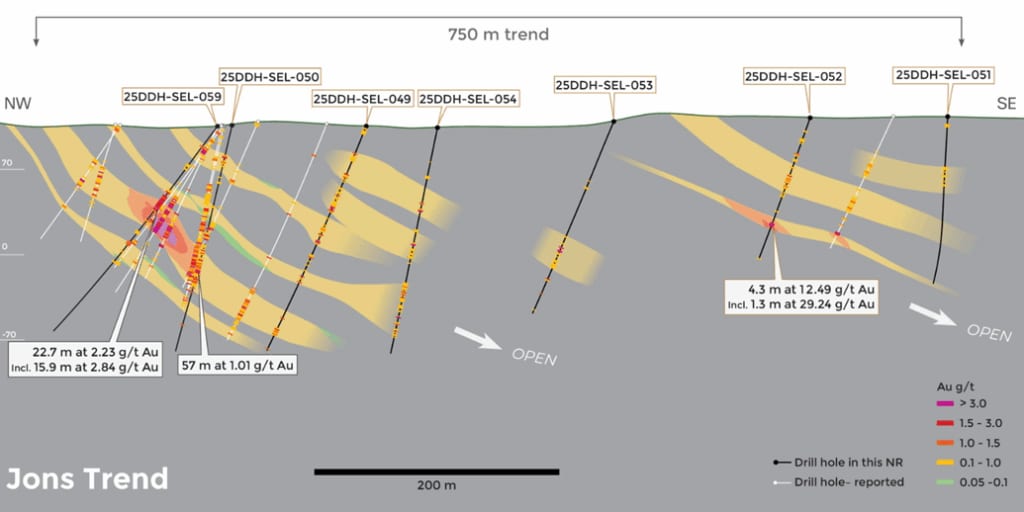 Figure 1. Long section through Jons trend, showing an implicit grade model clipped to model vein wireframes. The reader is cautioned this is for drill targeting only and more drilling is required to verify grades of modeled zones