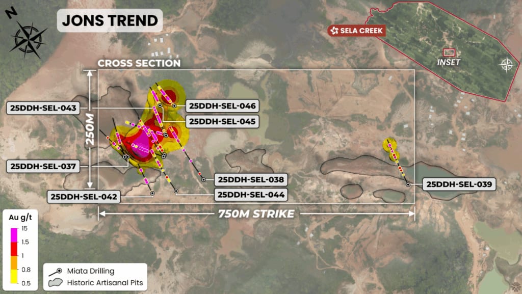 Plan view of drilling at Jons Trend with implicit grade model projected to surface.