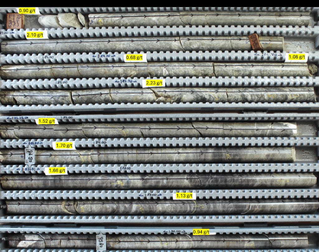 Core photo from hole 25DDH-SEL-046 from 74 to 90 metres, showing continuous grade distribution.