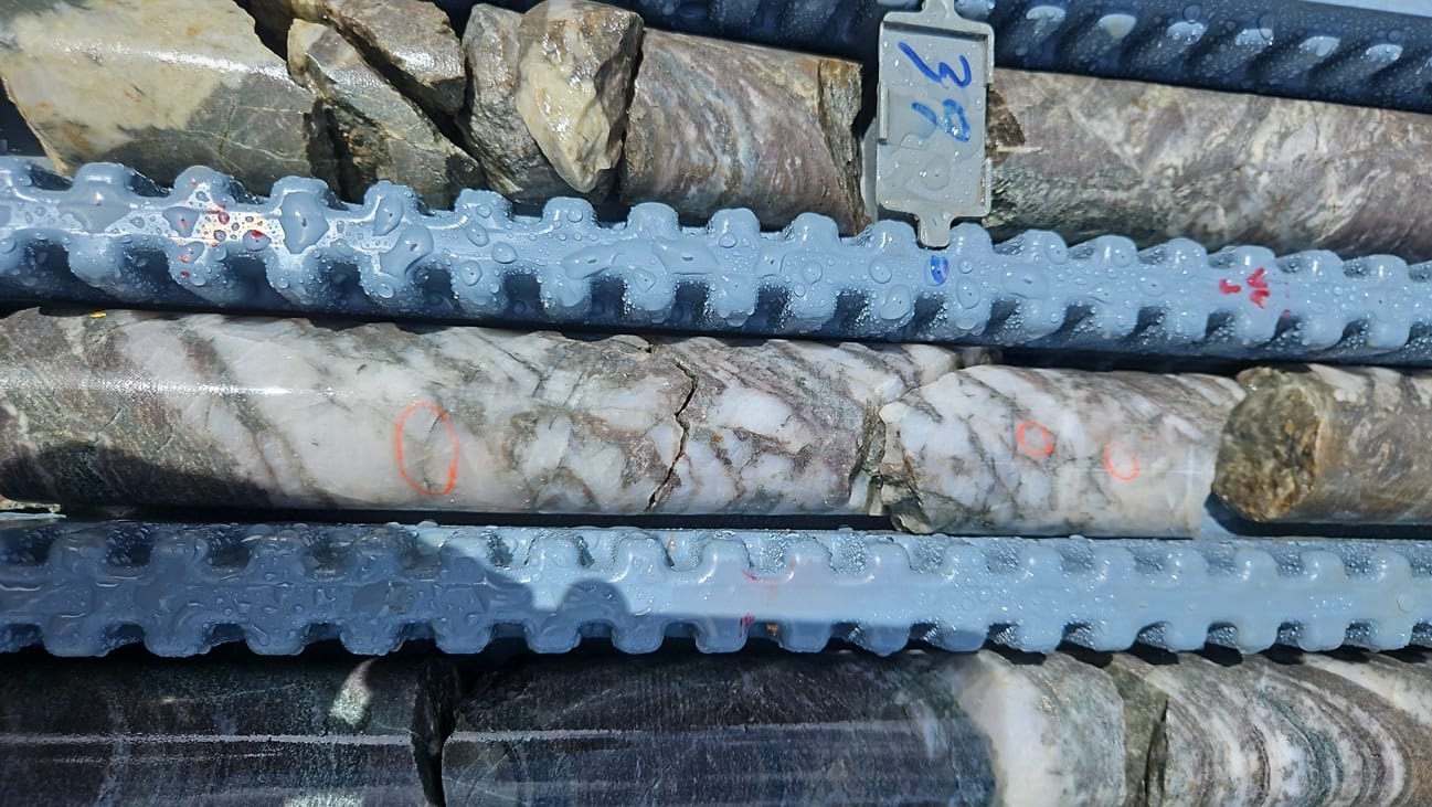 25DDH-SEL-030 at 40m, showing crack-seal veining and visible gold occurrences marked with red marker.