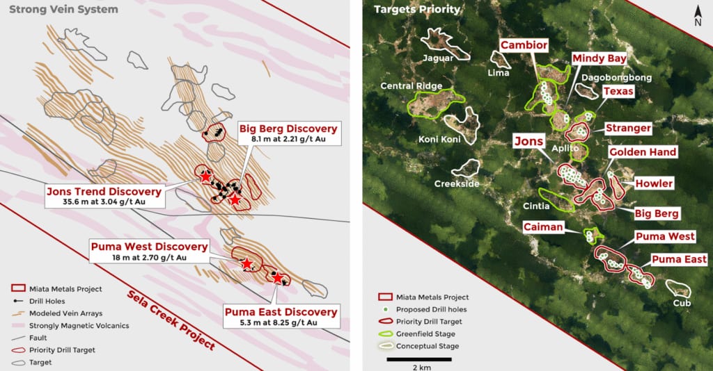 Vein array model and discoveries (left), and Sela Creek exploration targets with proposed 2026 drilling (right).