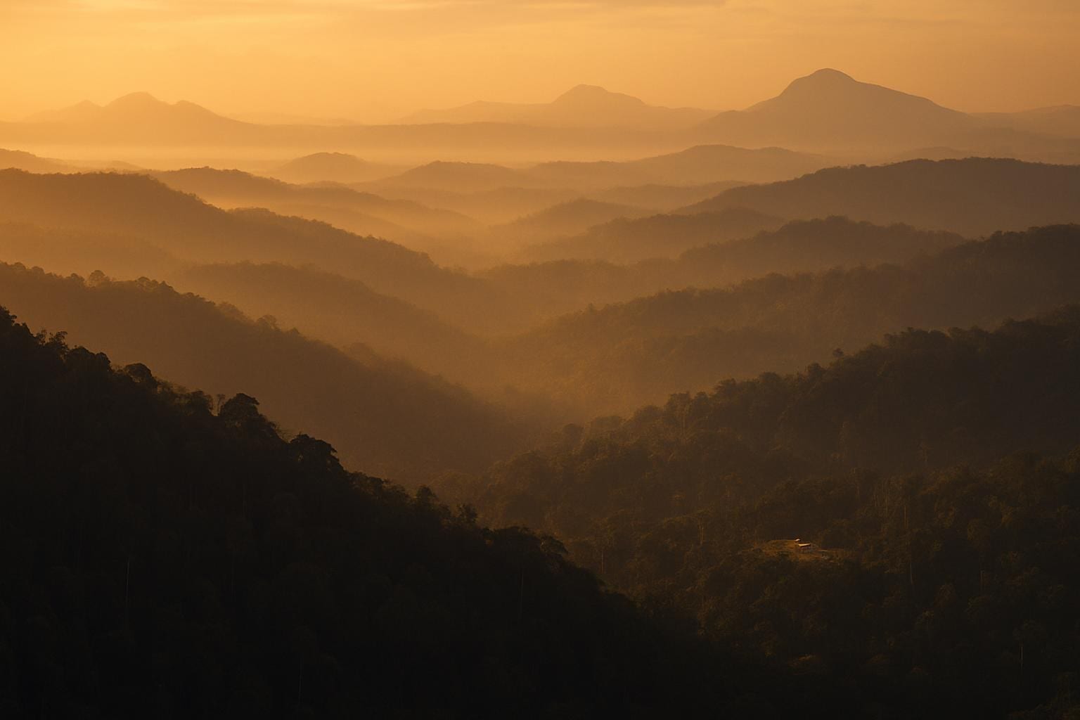 Illustrative: layered forested ridges of a greenstone terrane at sunrise